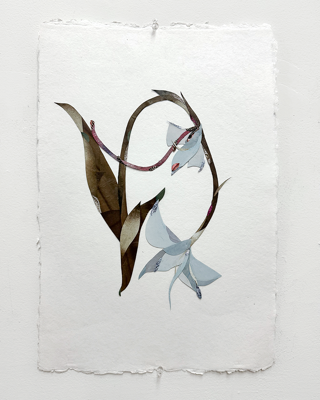 “Flower Study VI (Orchid)” 2025
Collage, ink, watercolor on paper
12.5 x 18.5 inches (32 x 47 cm)