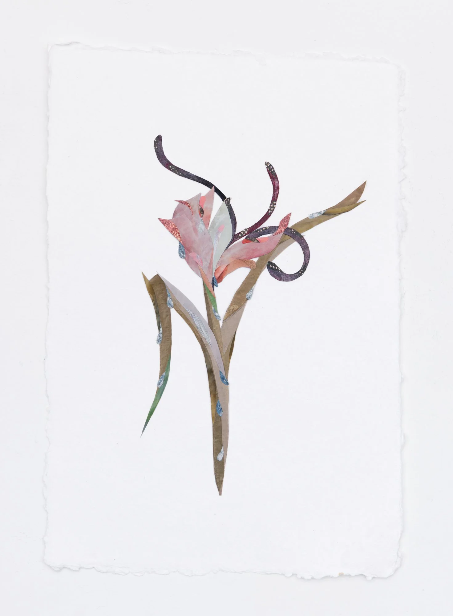 “Flower Study I (Tulip)” 2025
Collage, ink, watercolor on paper
12.5 x 18.5 inches (32 x 47 cm)