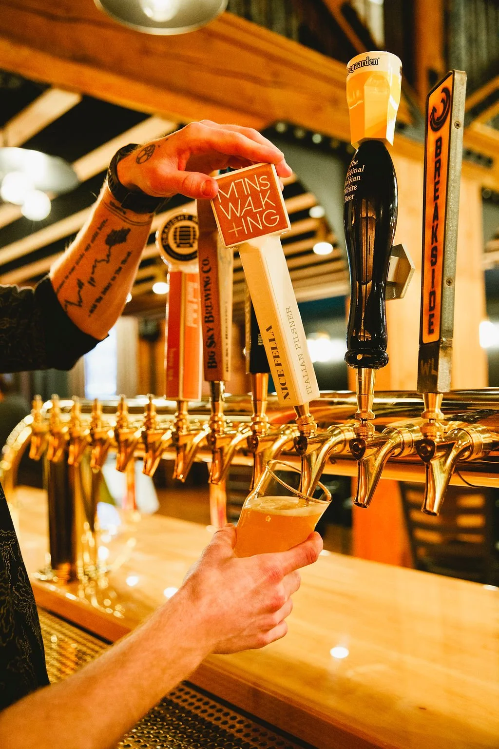 Bartender pours beer from one twelve taps.