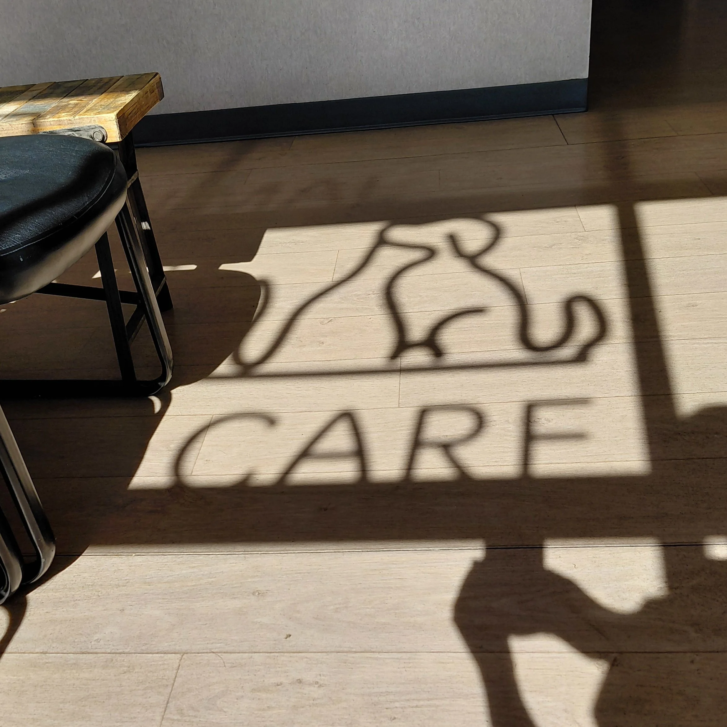 The Year of the Veterinarian