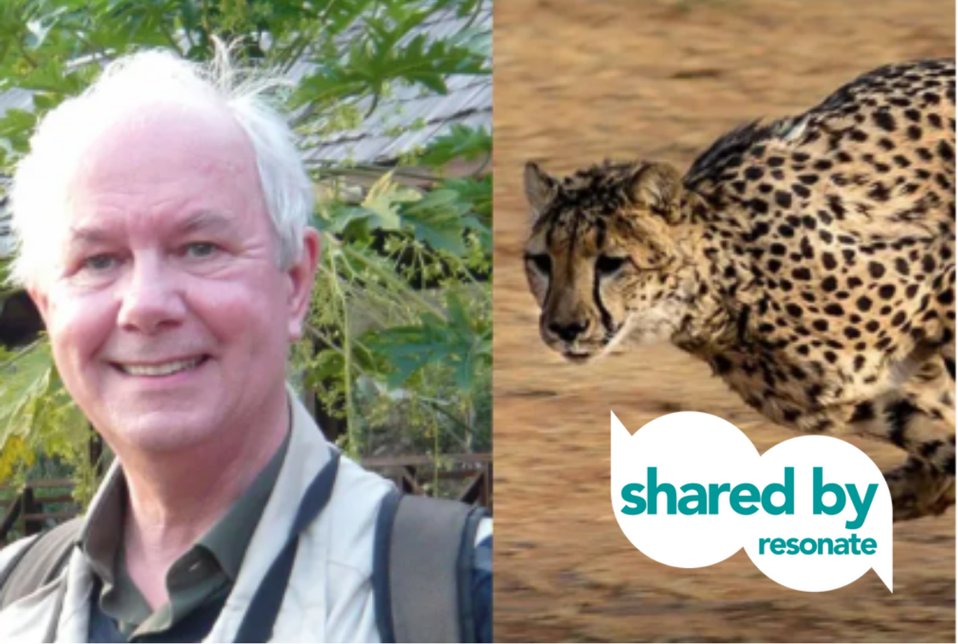 Public Lecture: Patterns in Animal Movement