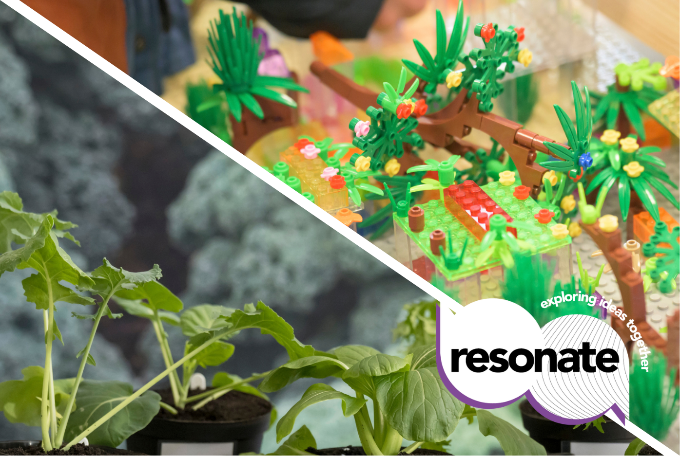 Sustain: from the past, for the future - Resonate at the Royal Pump Rooms