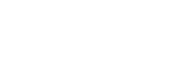 Silver Linings Foundation