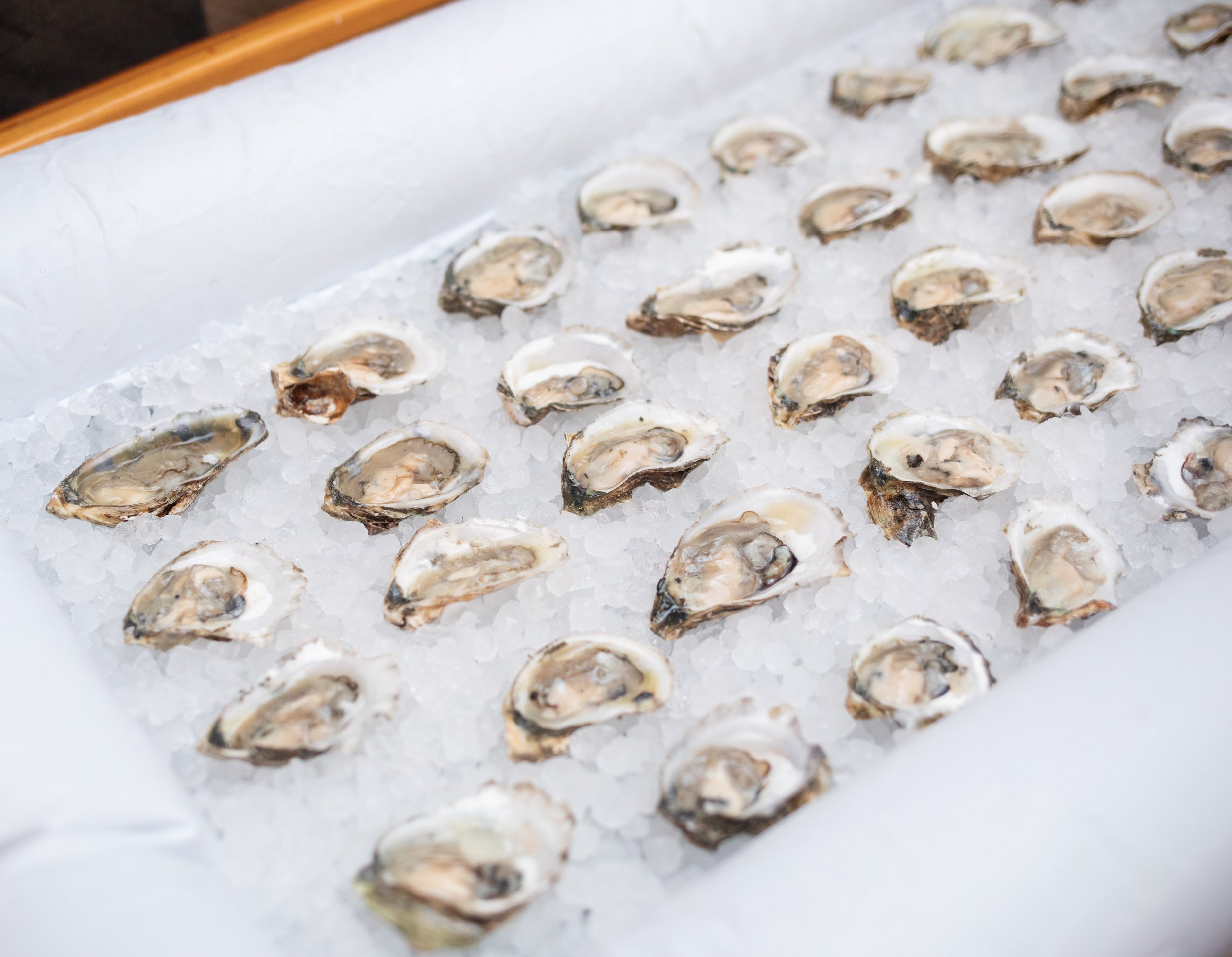 Fresh oysters served at The Wedding Planners Collective's Golden Hour Social networking event in Wallkill, New York.