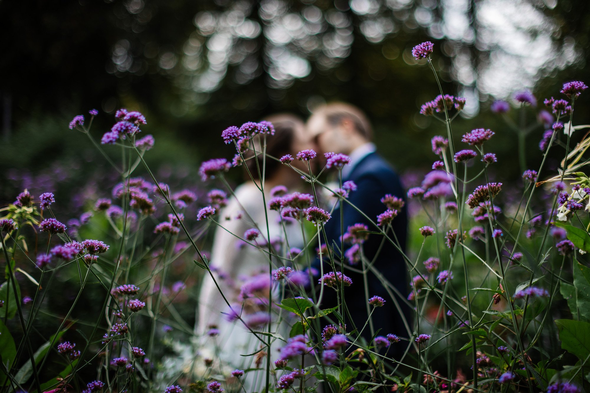 par som kysser varandra bakom lila blommor
