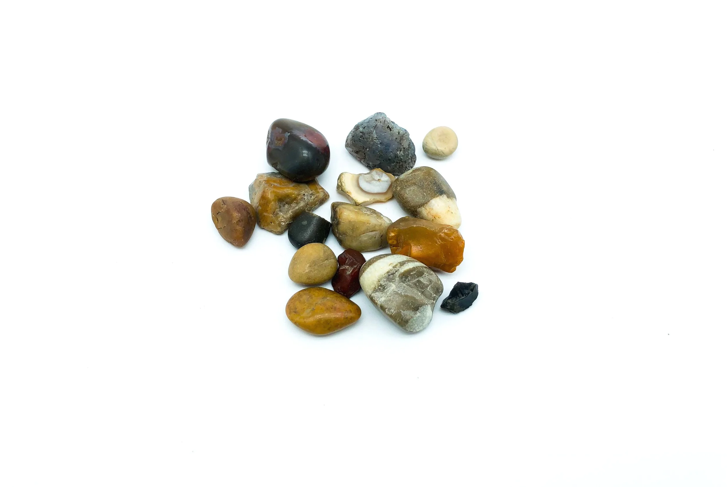 00036-7.jpg
