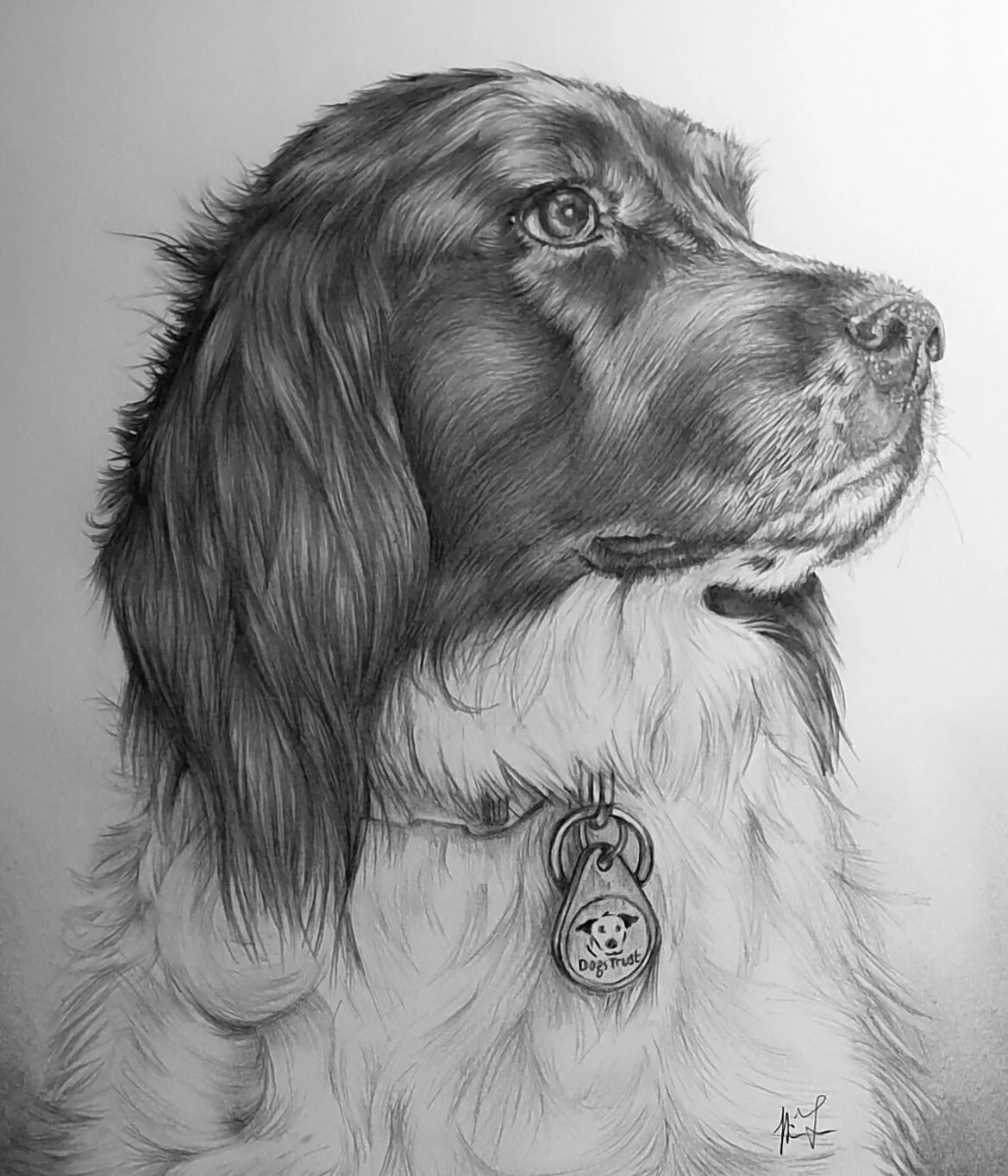 Maggie