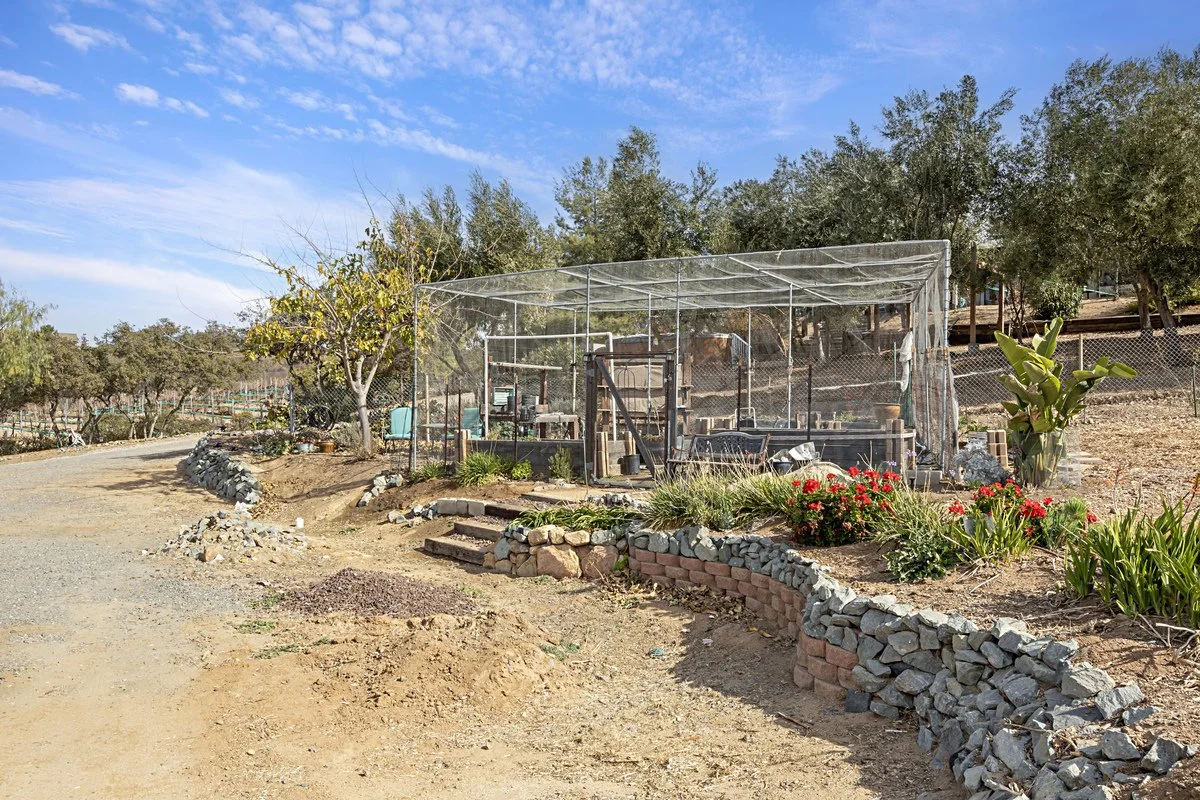 A small garden with flowering plants and a tree, enclosed by a metal and plastic greenhouse structure, with a dirt pathway and a rock-edged garden bed.