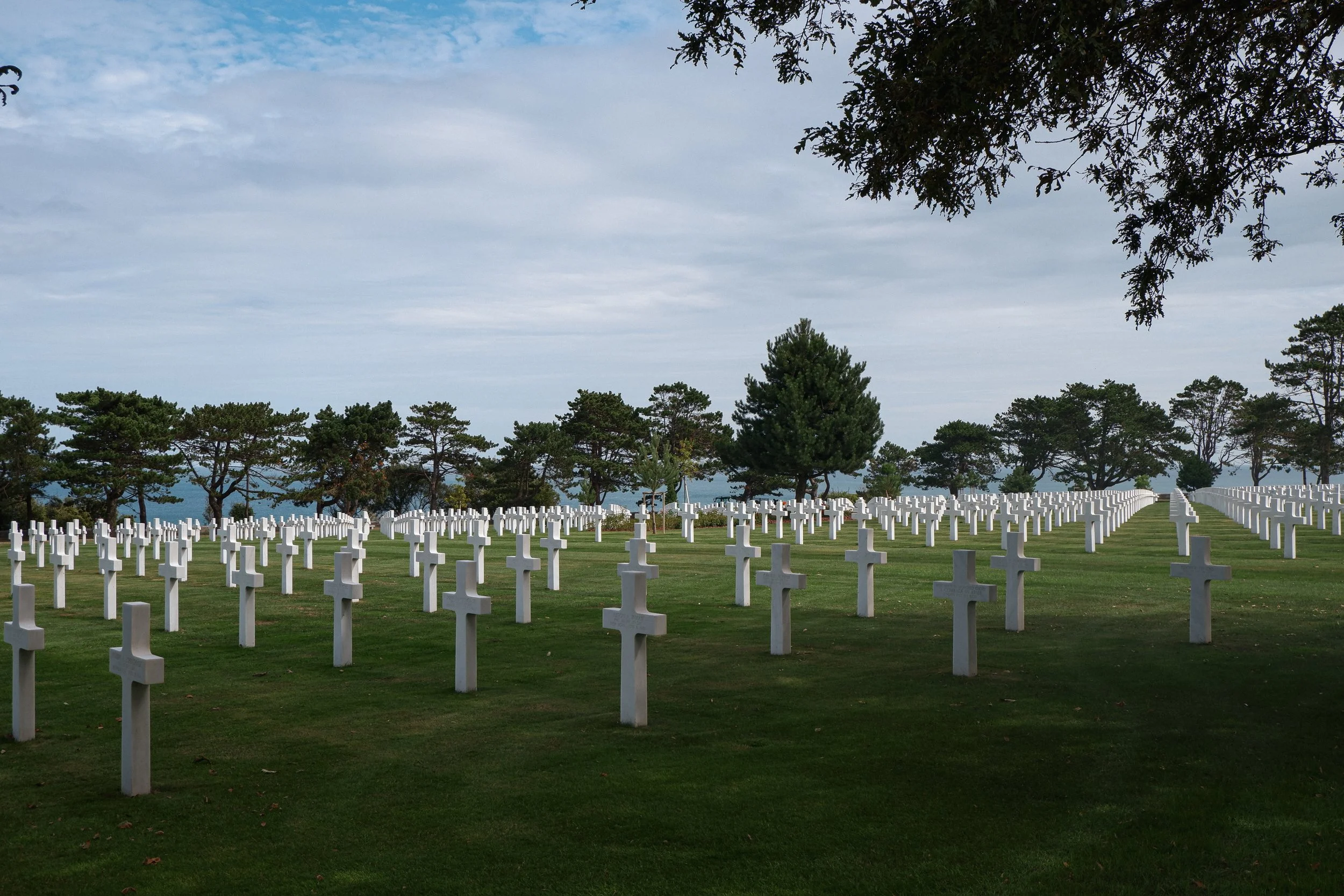 DSCF4297.jpg