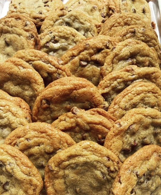 Chocolate Chip