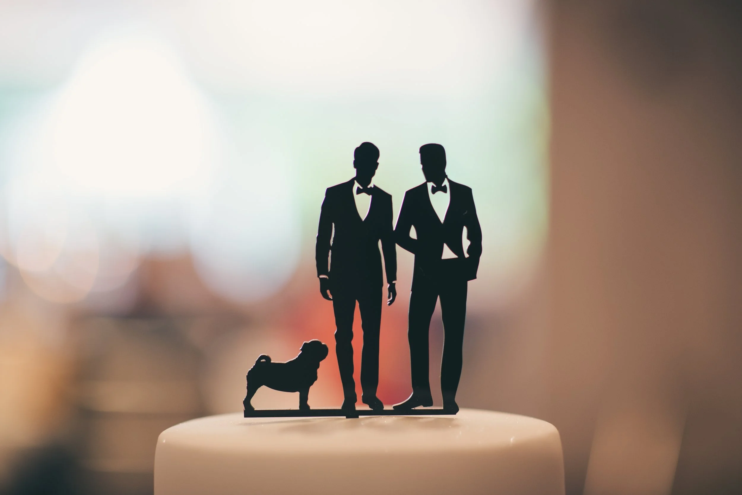 Wedding cake topper featuring a couple and their dog