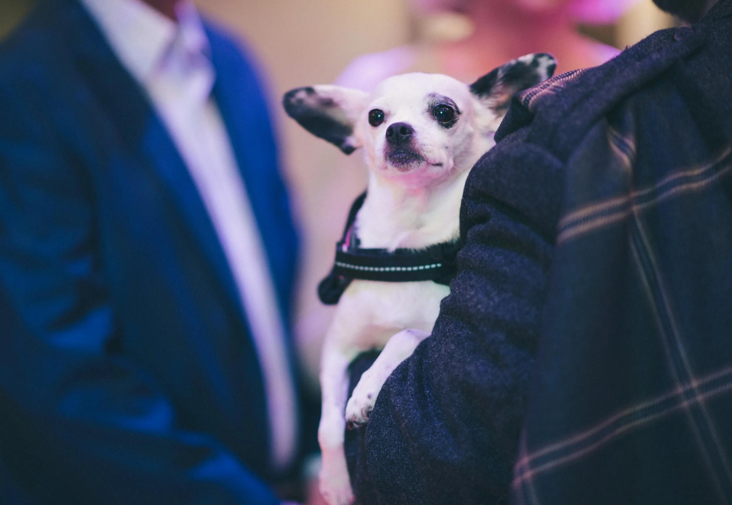 Wedding Photographer Glasgow