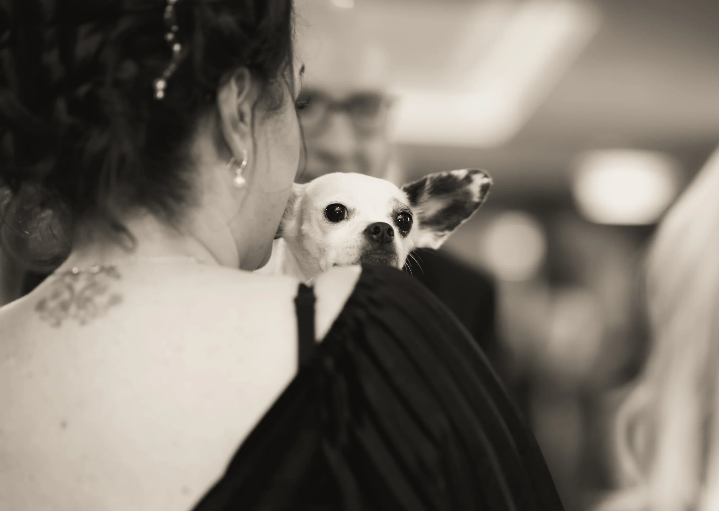 Wedding Photographer Glasgow