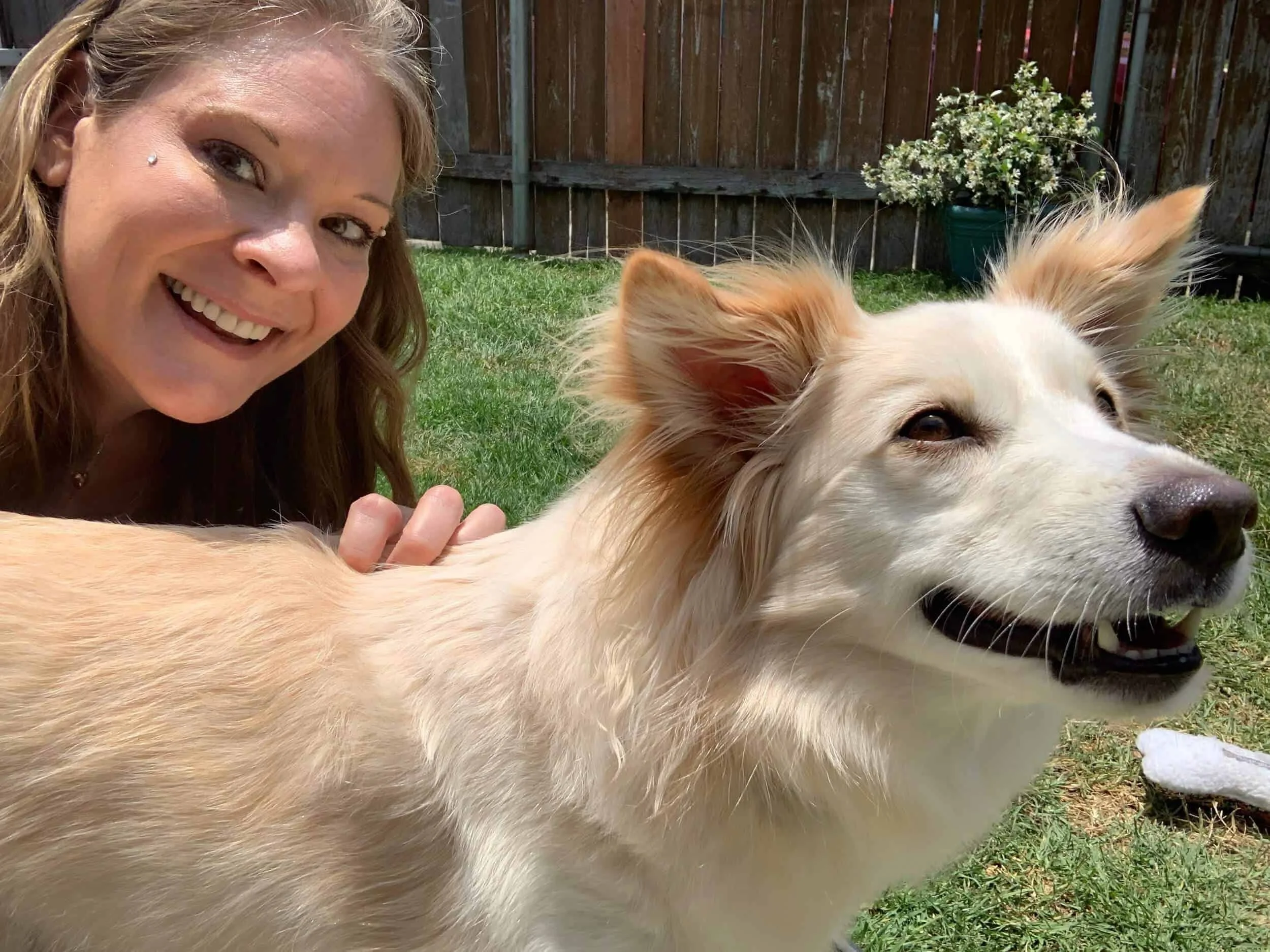 A woman with wavy blonde hair smiling and lying in the grass next to a cream-colored dog with pointy ears, both enjoying a sunny day in a backyard with a wooden fence and potted plants in the background.