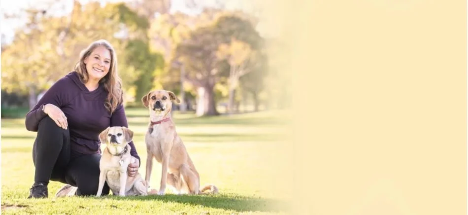 What Role Does a Dog Sitter Play in Maintaining Your Dog’s Routine?