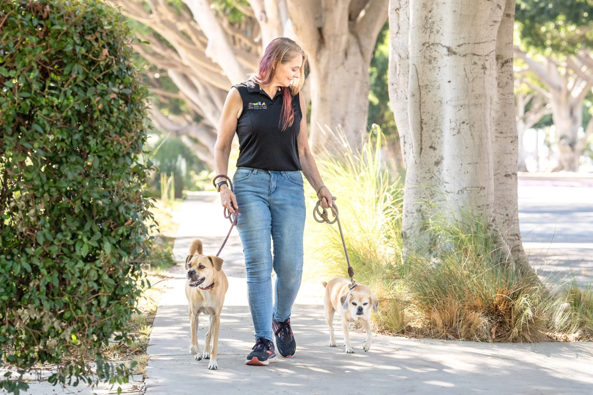 Choose the Right Dog Walking Duration: 30, 45, 60, or 90 Minutes?