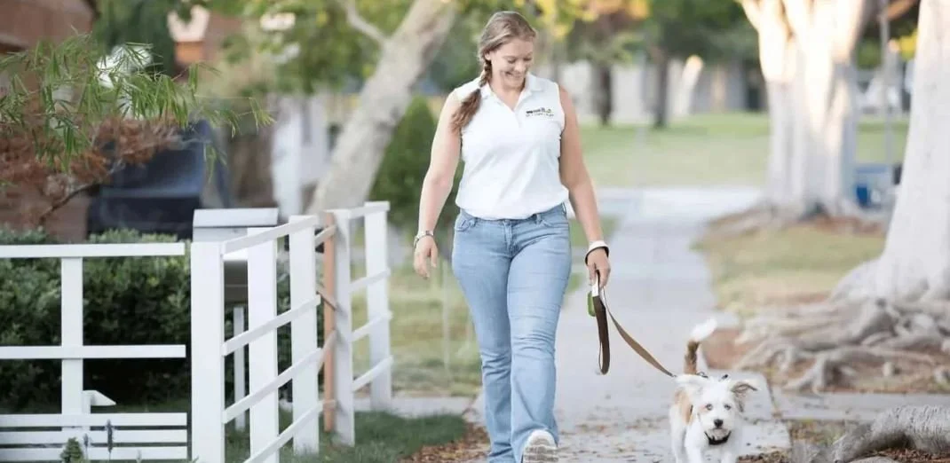 The Role of Professional Dog Walkers in Reducing Pet Anxiety