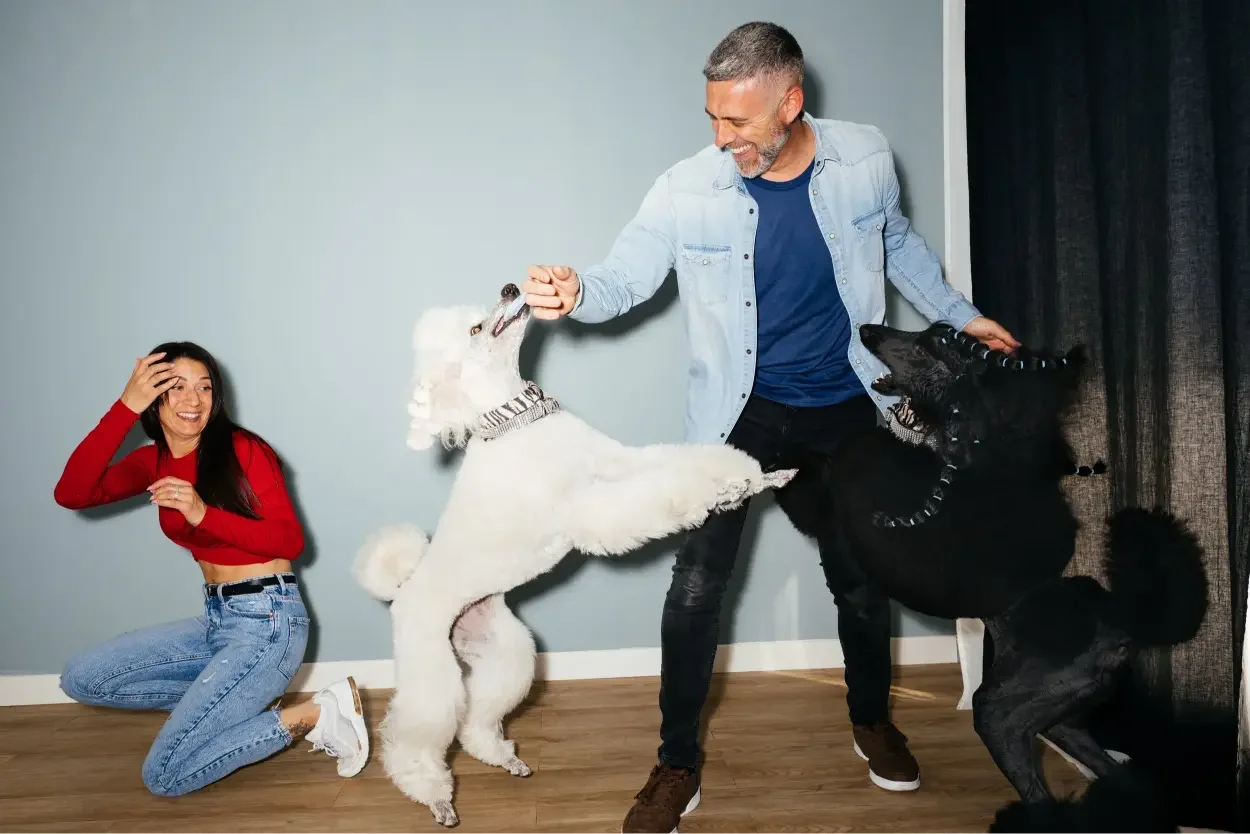 Why Hiring a Top-Rated Pet Sitter Matters for Your Pet’s Care
