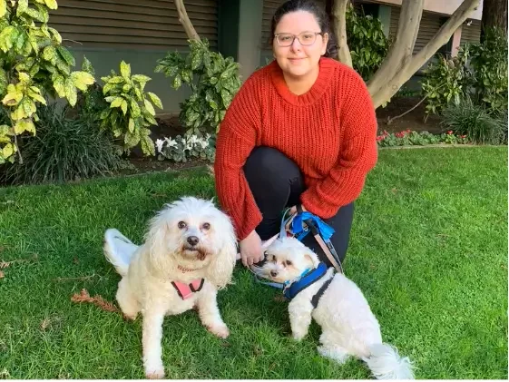 Engaging Activities to Keep Your Pet Active and Healthy