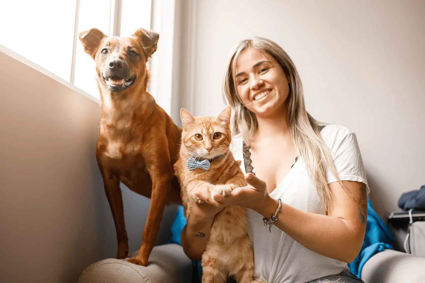 Pet Sitter Jobs: Build a Career Caring for Animals