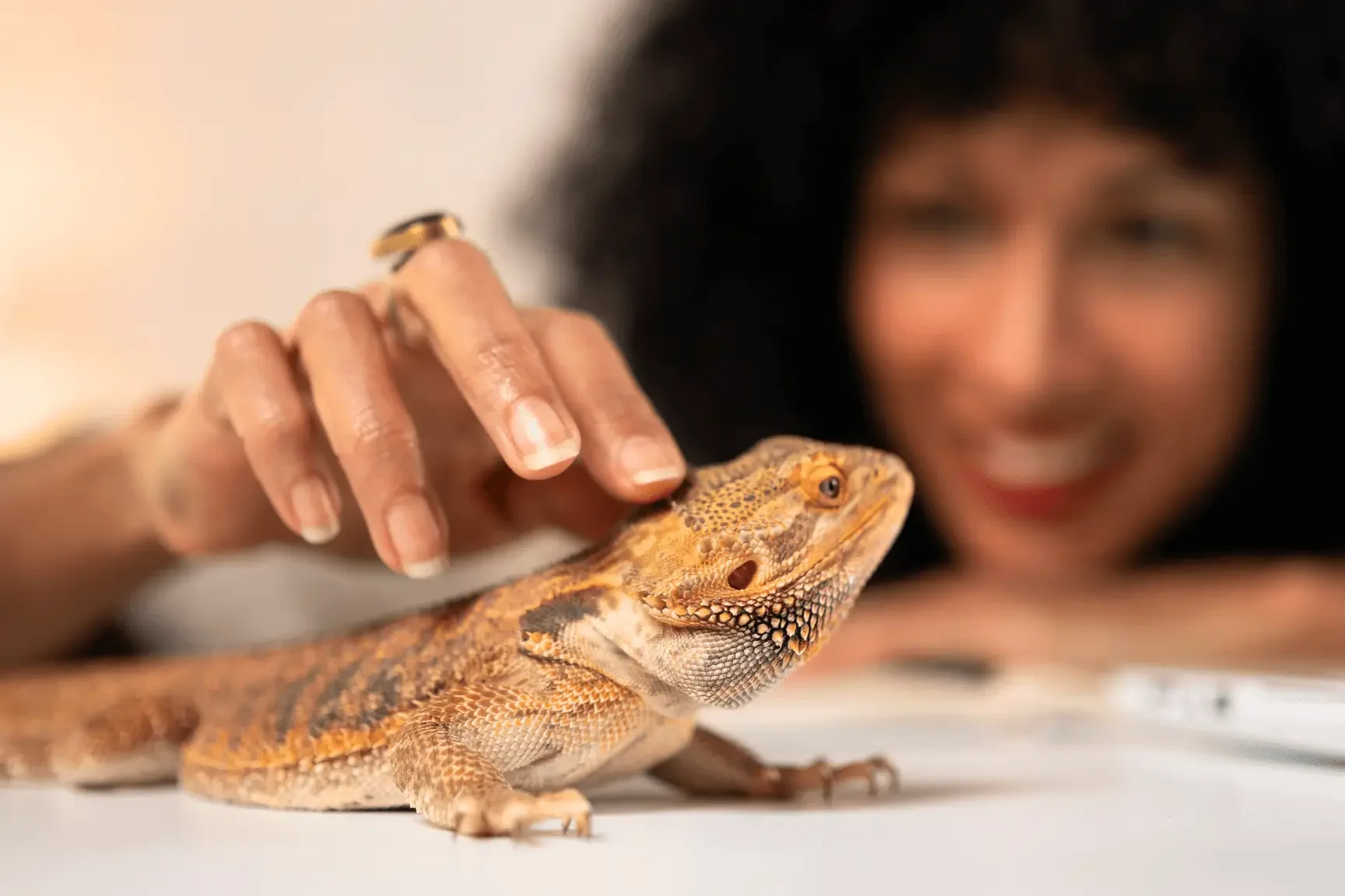 Exotic Pet Sitter in LA for Unique Pet Care
