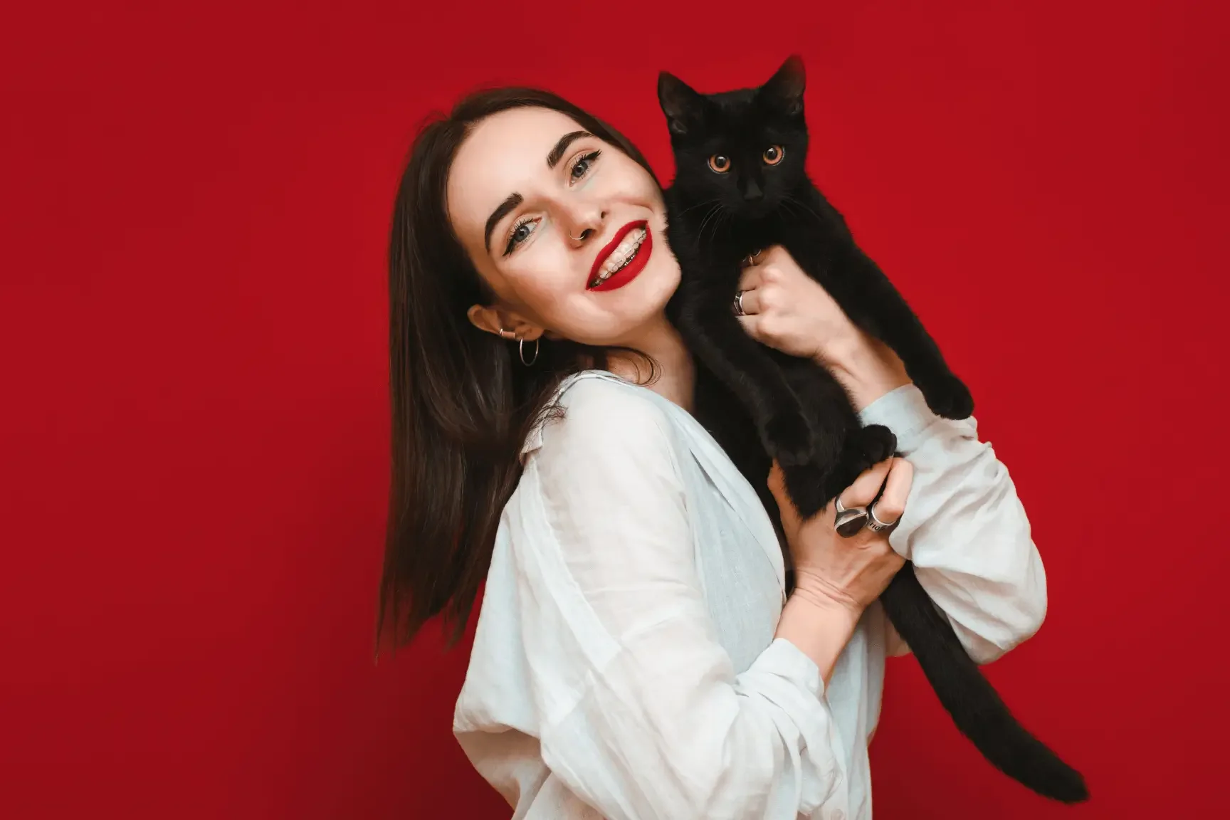 Cat Sitter: Why Your Feline Deserves the A-List Treatment