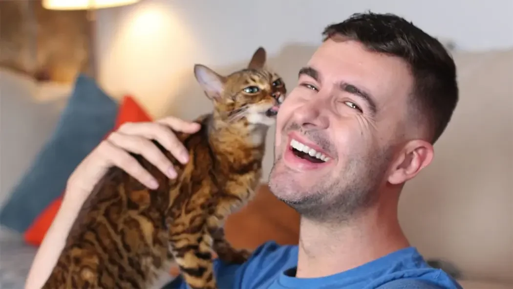 The Benefits of a Cat Sitter Compared to Boarding