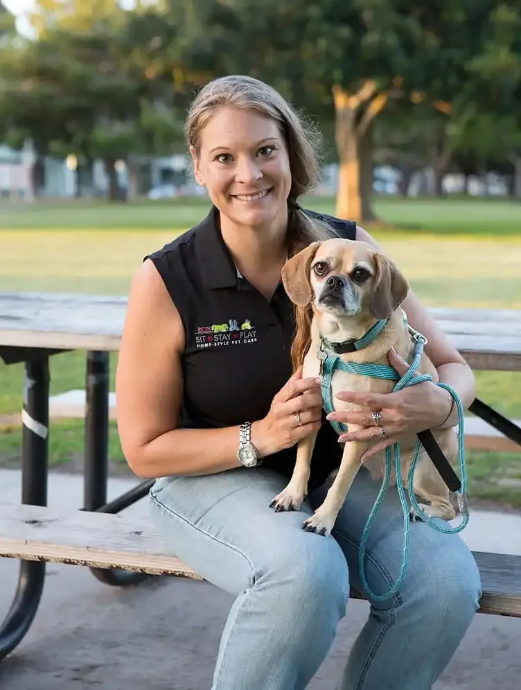 Dog Walking Services