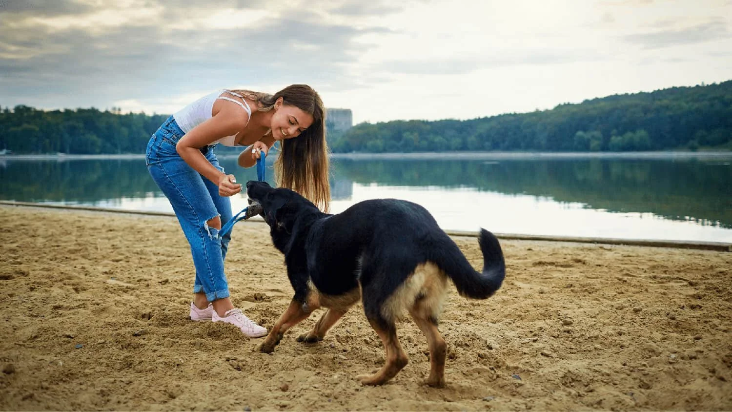 A dog is playing with a dog walker at the beach