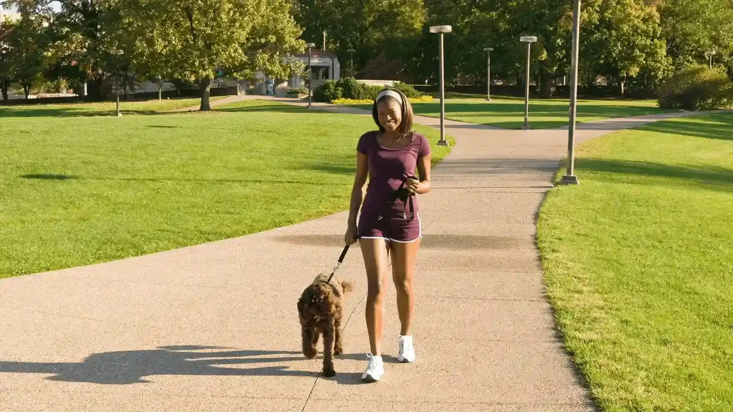 How Dog Walking Schedules Improve Pup Behavior