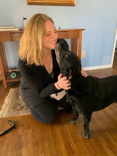 Dog_Sitting_Santa_Monica.webp