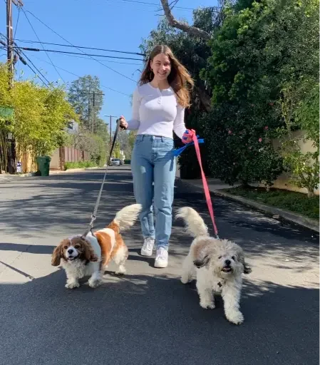 Pet_Sitting_Beverly_Hills.webp