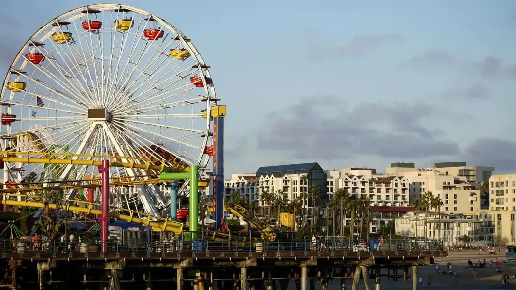 Benefits+of+Hiring+a+Cat+Sitter+in+Santa+Monica.webp