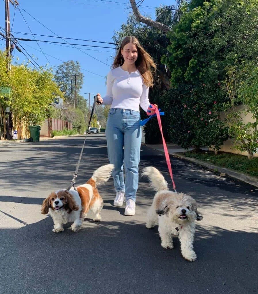 Young woman walking two dogs down a suburban street on a sunny day, smiling at the camera. One dog has long ears and a brown and white coat, the other is small, fluffy, and light-colored.
