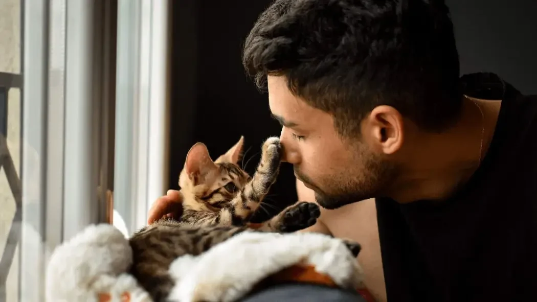 What is a Cat Sitter and What to Expect?
