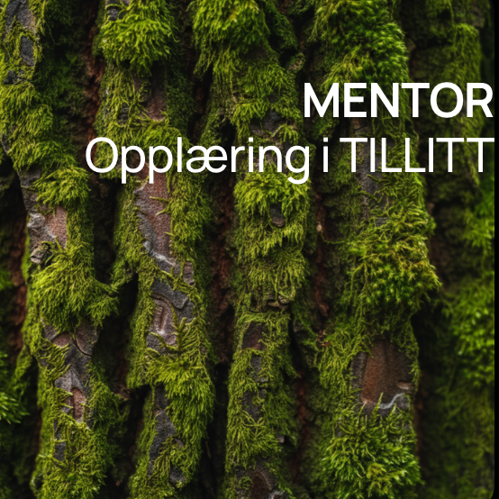 TAORA MENTOR – Utvikle deg som trygg rollemodell