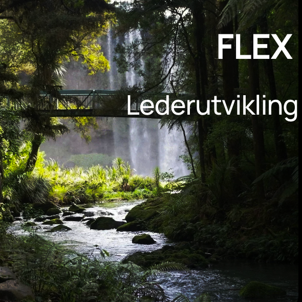 TAORA FLEX – Program for Lederutvikling