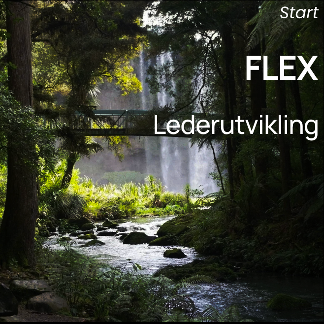 LEDERUTDANNING I TILLITSBASERT PRAKSIS