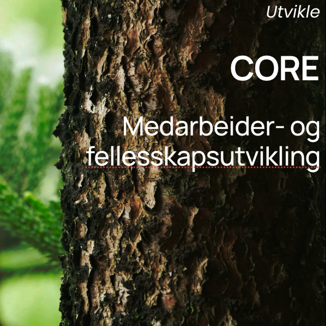 GRUNNLEGGENDE RELASJONSKOMPETANSE