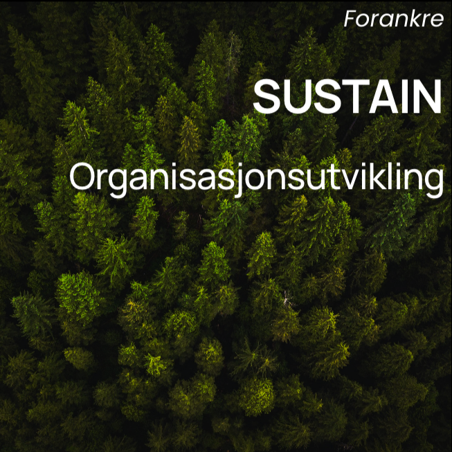 FORANKRING OG UTVIKLING I ORGANISASJONEN