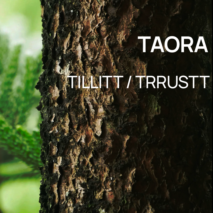 PROGRAM FOR TILLITSBASERT PRAKSIS