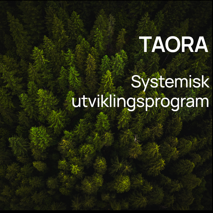 FORANKRING OG UTVIKLING I ORGANISASJONEN