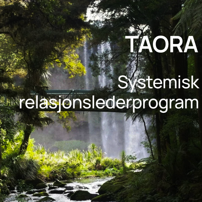 UTDANNING I SYSTEMISK RELASJONSLEDELSE