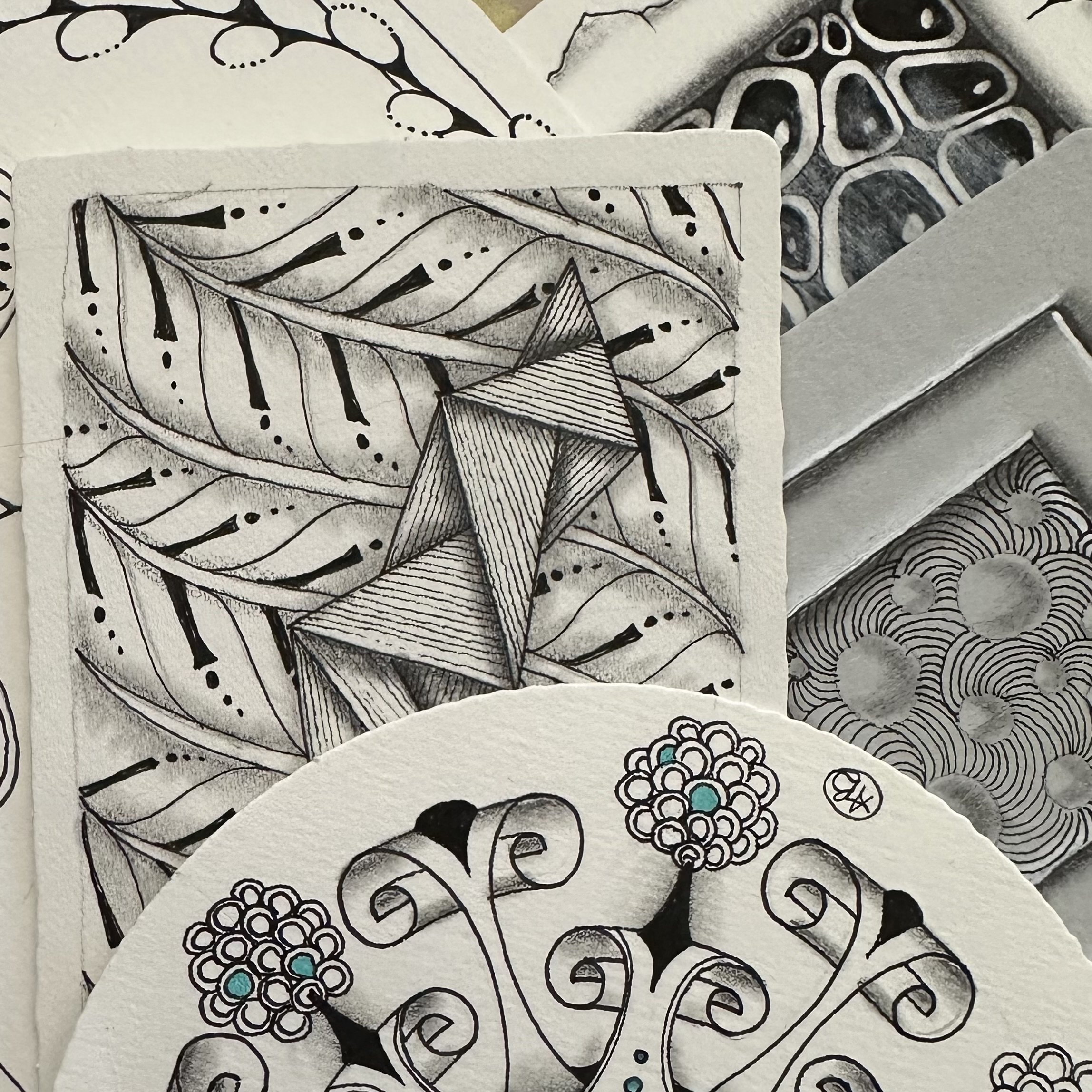 Close-up of various intricately designed black and white drawings on paper, featuring leaves, geometric shapes, and floral patterns.