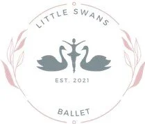 Little Swans Weekday Fall 2026
