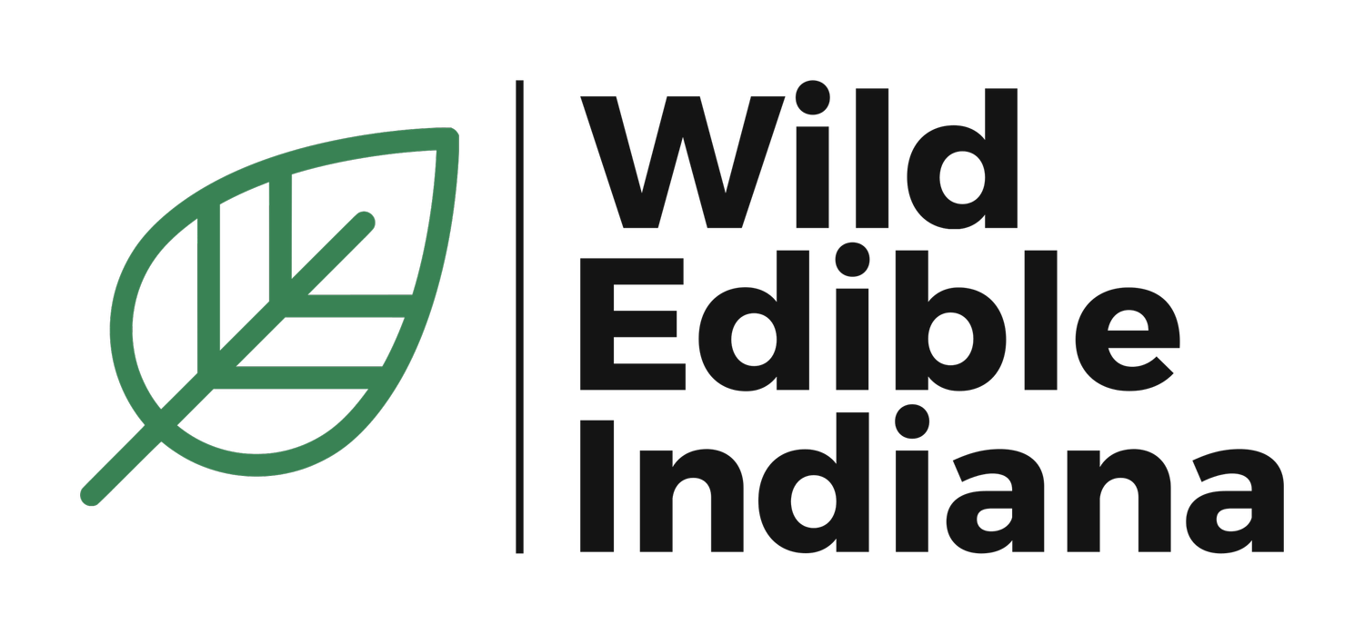 Wild Edible Indiana