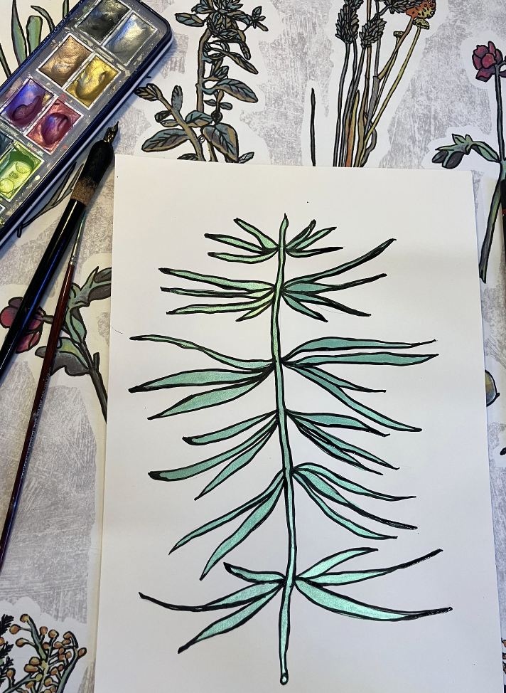 The Rhythm of Nature: How Ink and Observation Shape My Jewellery