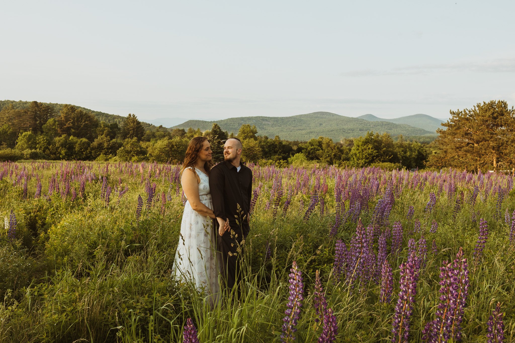 Best Places for Lupines in the White Mountains (And Why They’re Not for Everyone)
