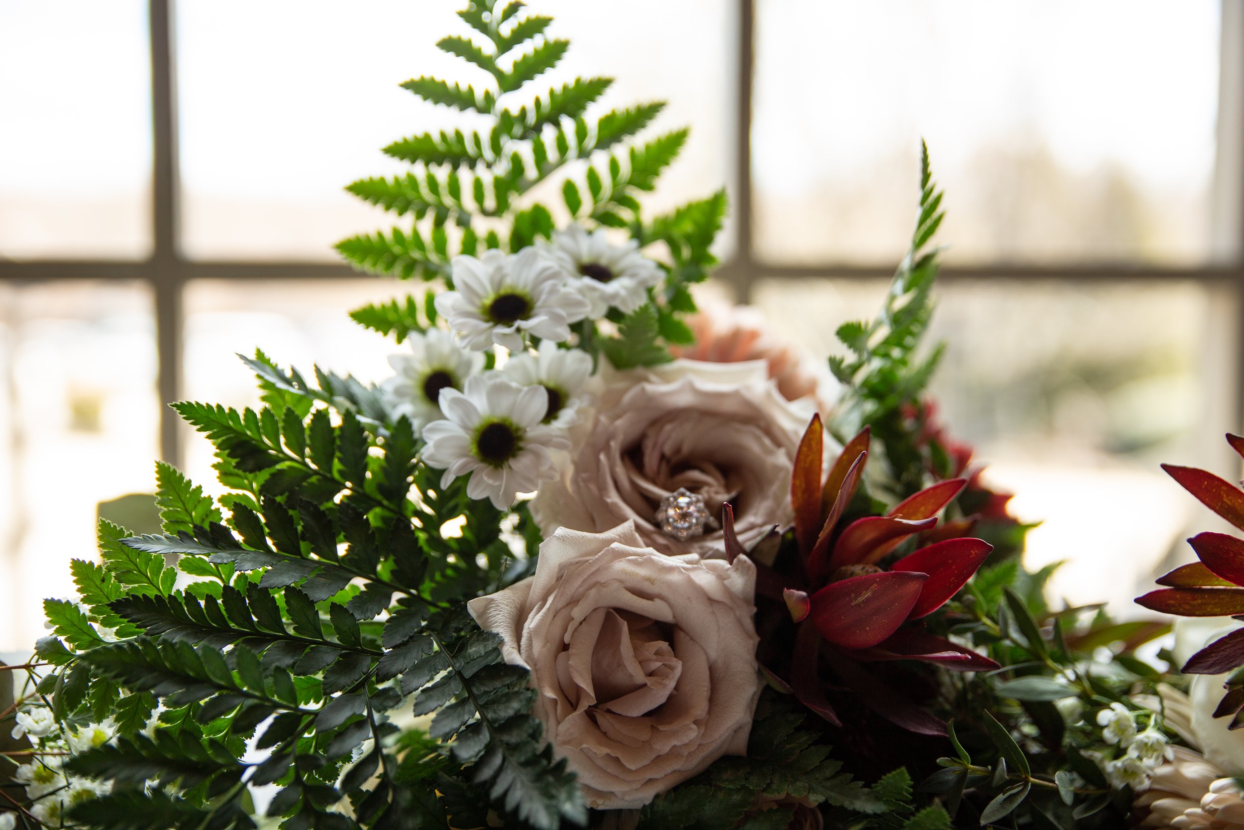 IF8A4854-2.jpg