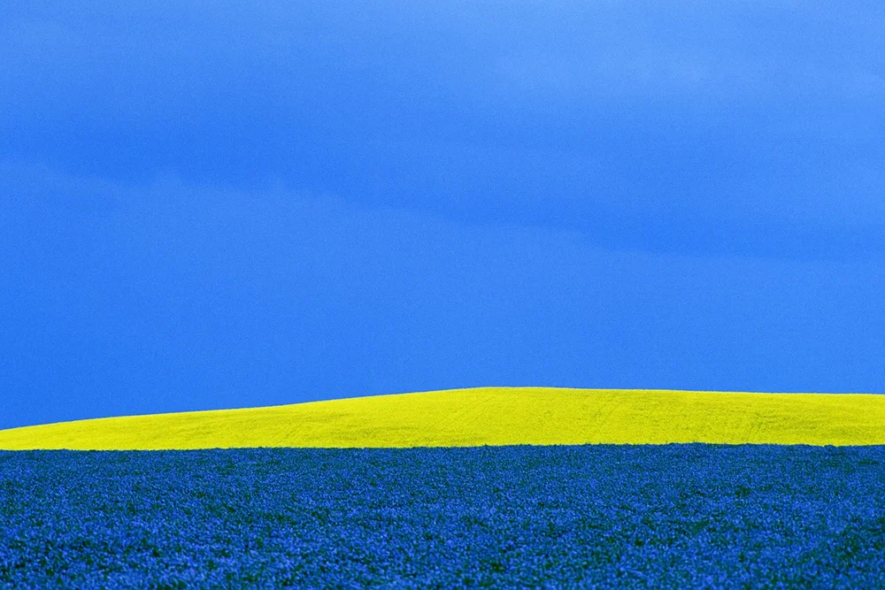 Fine Print FAQs — The Canadian Gallery